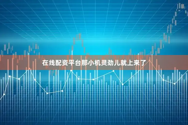 在线配资平台那小机灵劲儿就上来了