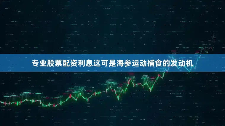 专业股票配资利息这可是海参运动捕食的发动机