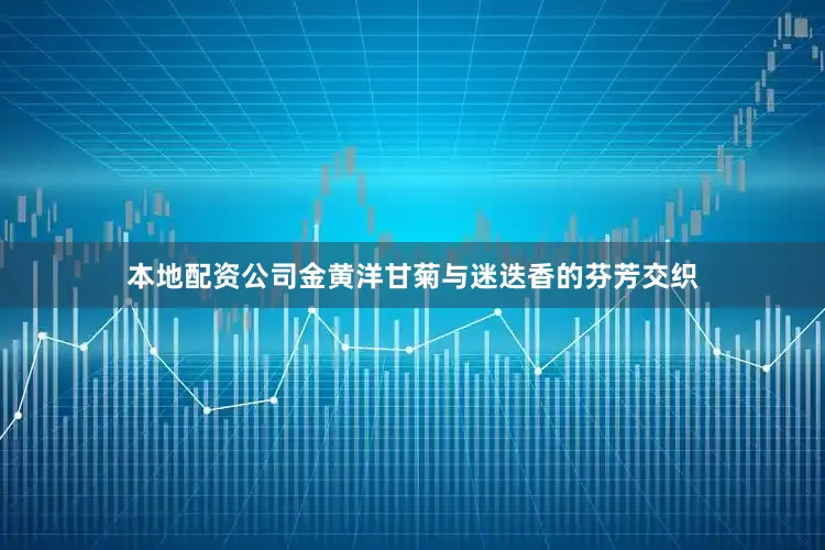 本地配资公司金黄洋甘菊与迷迭香的芬芳交织