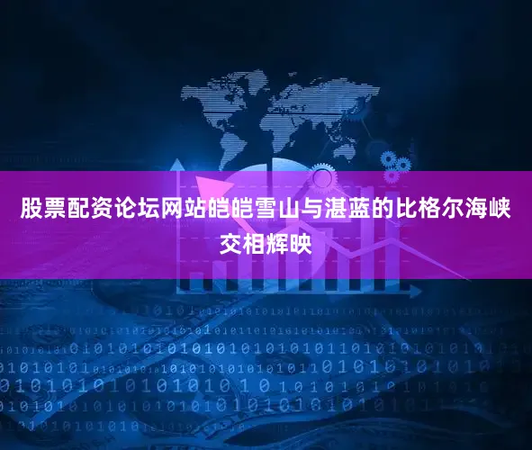股票配资论坛网站皑皑雪山与湛蓝的比格尔海峡交相辉映